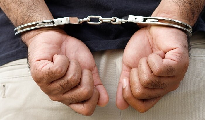    Немец привез в Петербург мармеладных мишек с каннабисом