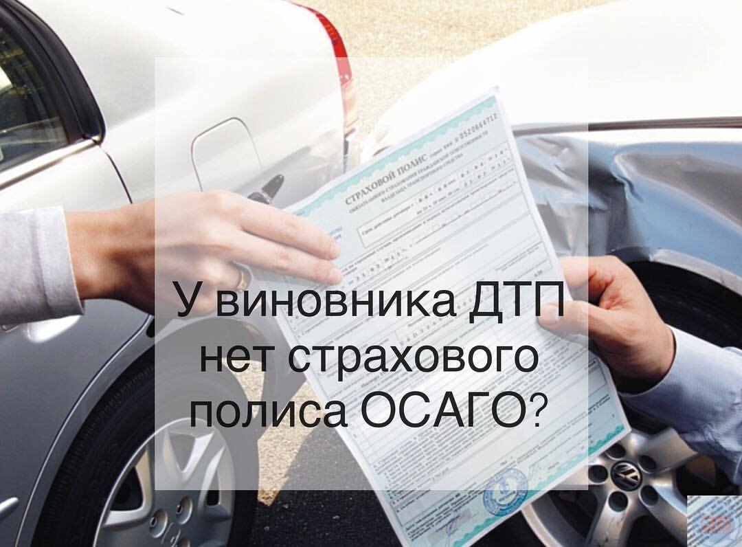 🔍 Что делать если водитель попал в ДТП, а виновник без страховки: |  ПроПраво | Дзен