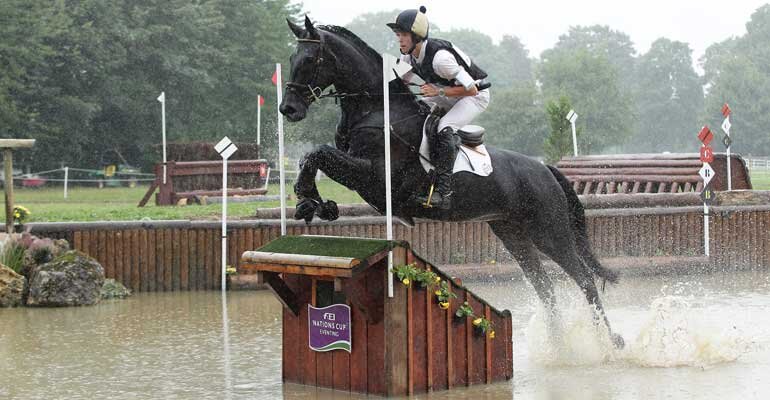 Виды спорта на лошадях