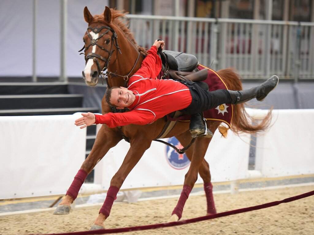 бронежилет штурм стт. бронежилет штурм вв-м 5 класс. в100вв05. вв 5 7. бронежилет штурм вв-м 5 класс.