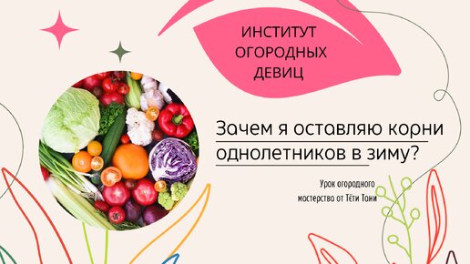 Зачем я оставляю корни однолетников в зиму?