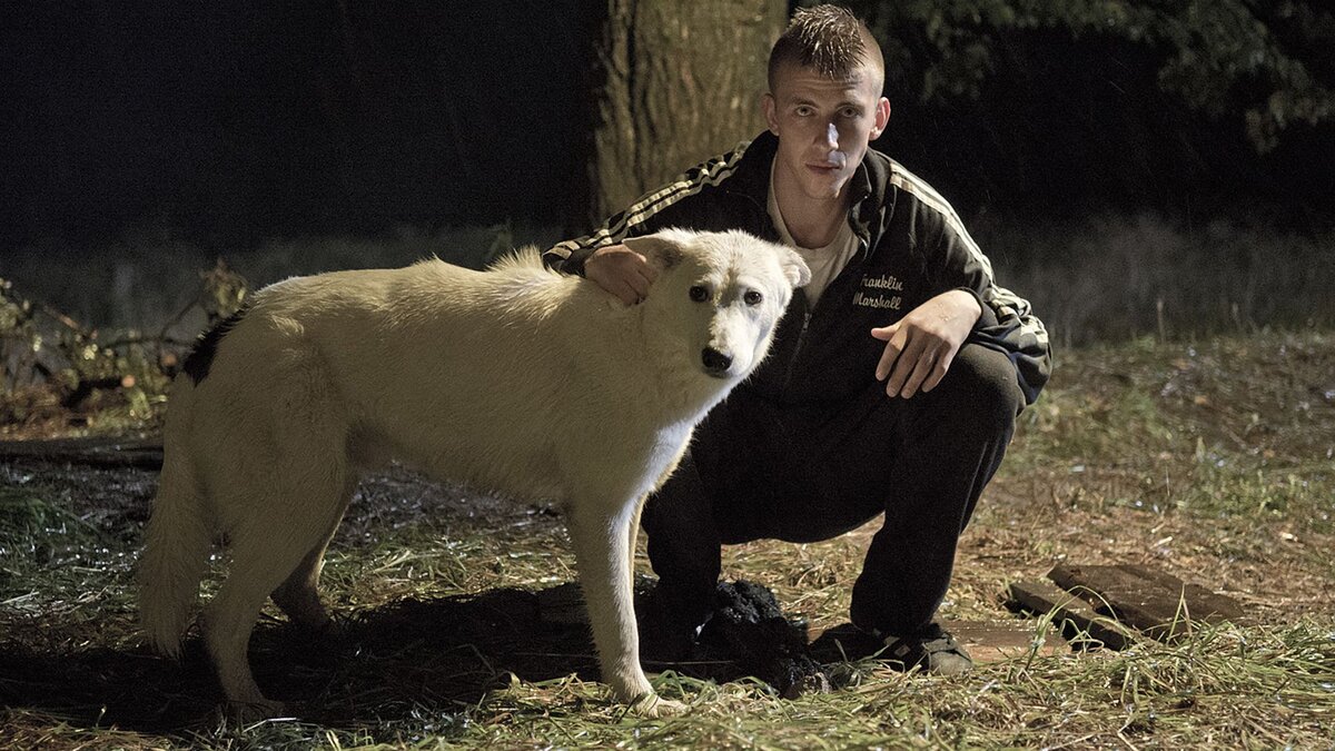 код адидас оригинал. бирка найк оригинал. оригинальная бирка адидас. Air jordan внутренняя бирка. оригинальная этикетка адидас.