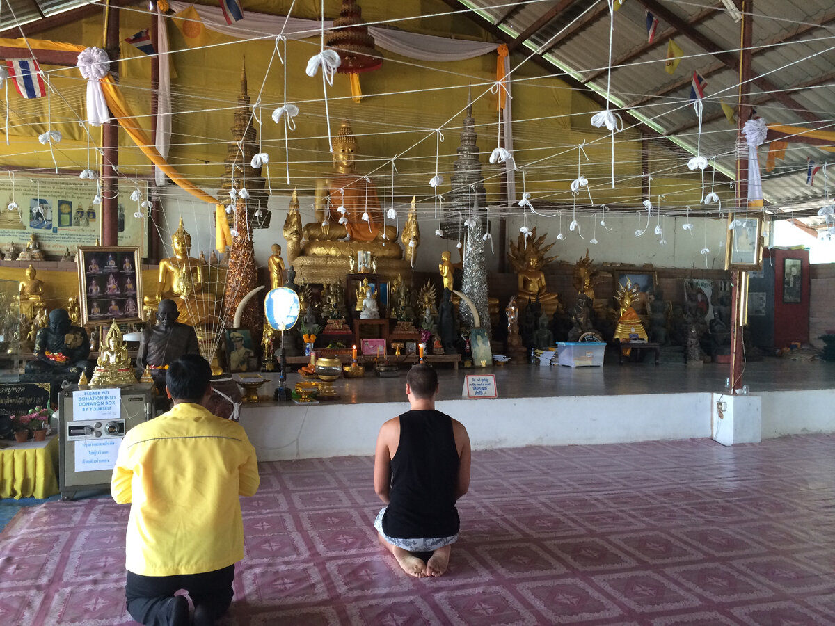 10 лет назад 