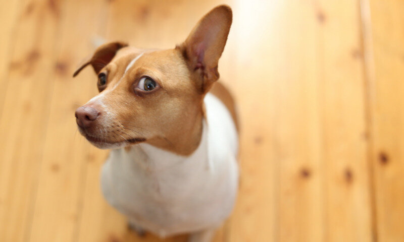 "Чем ты тут занимаешься?"