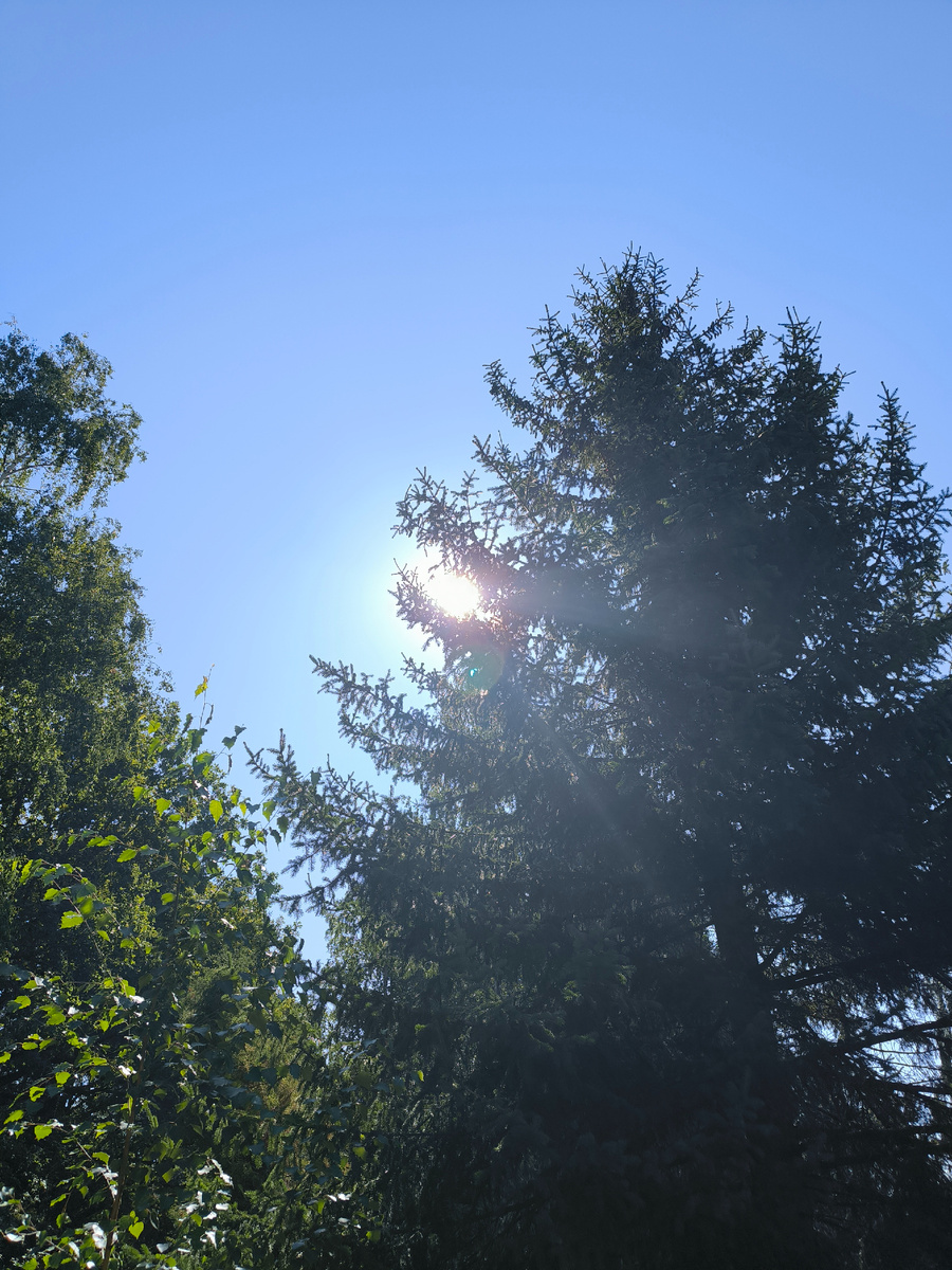 Всё фотографии в статье авторские