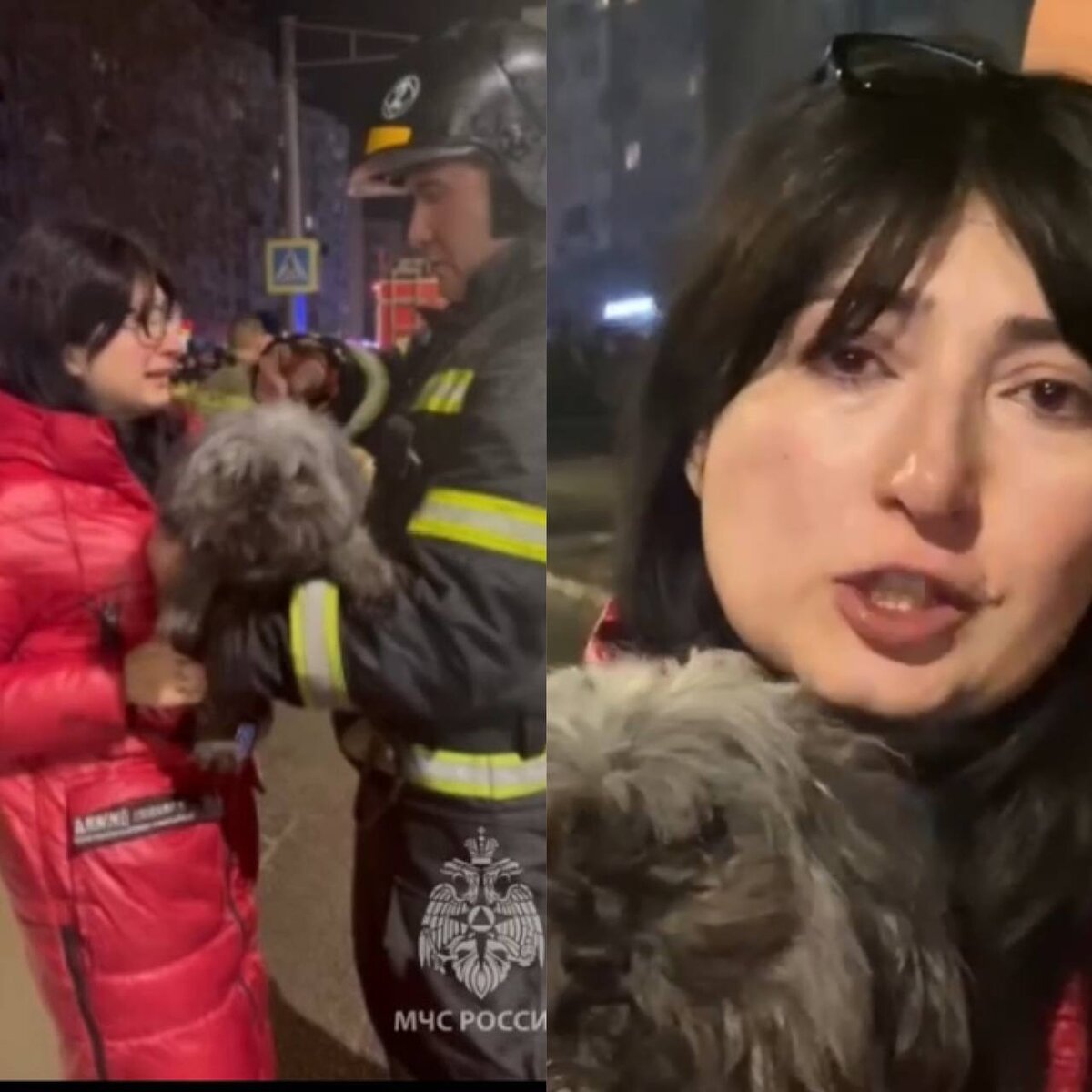 Пёс и его хозяйка. Фото: скрин видео МЧС
