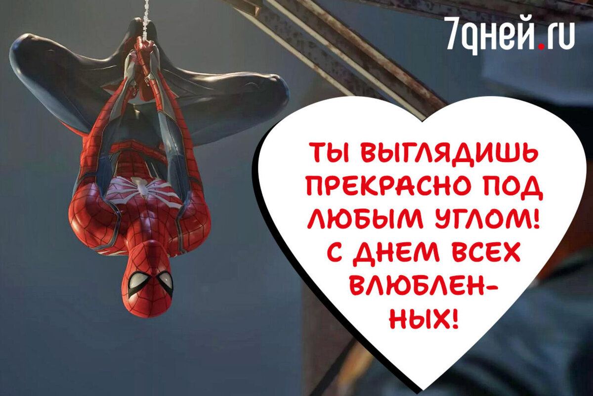     коллаж 7Дней.ru