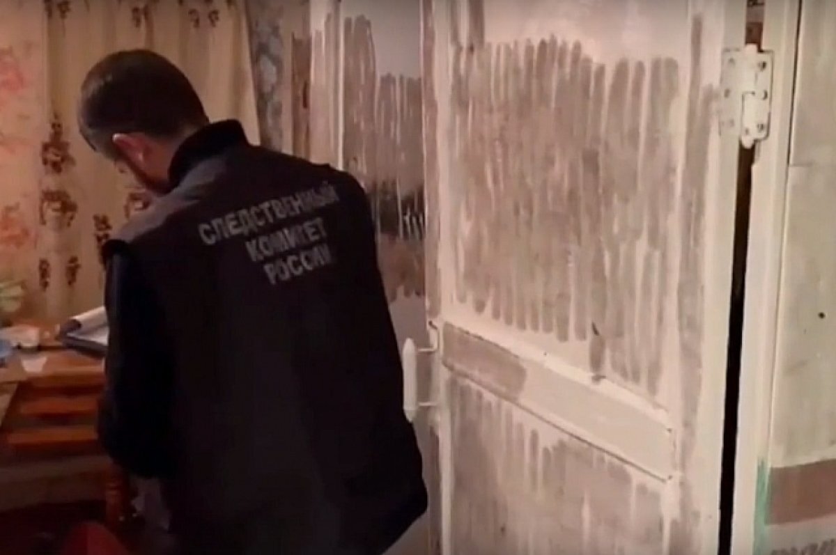    В Тверской области мужчины забили до смерти пенсионерку, нанеся 95 ударов