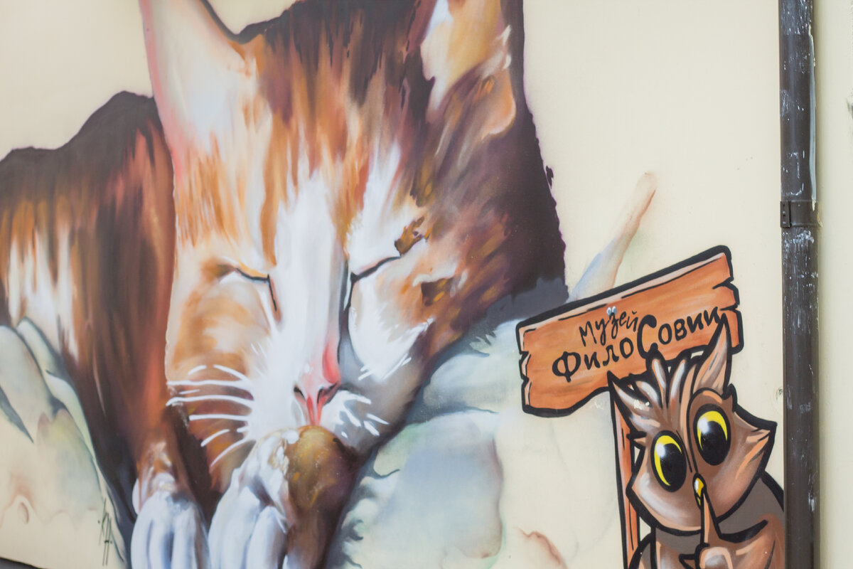 Фото автора, Зеленоградск 2021