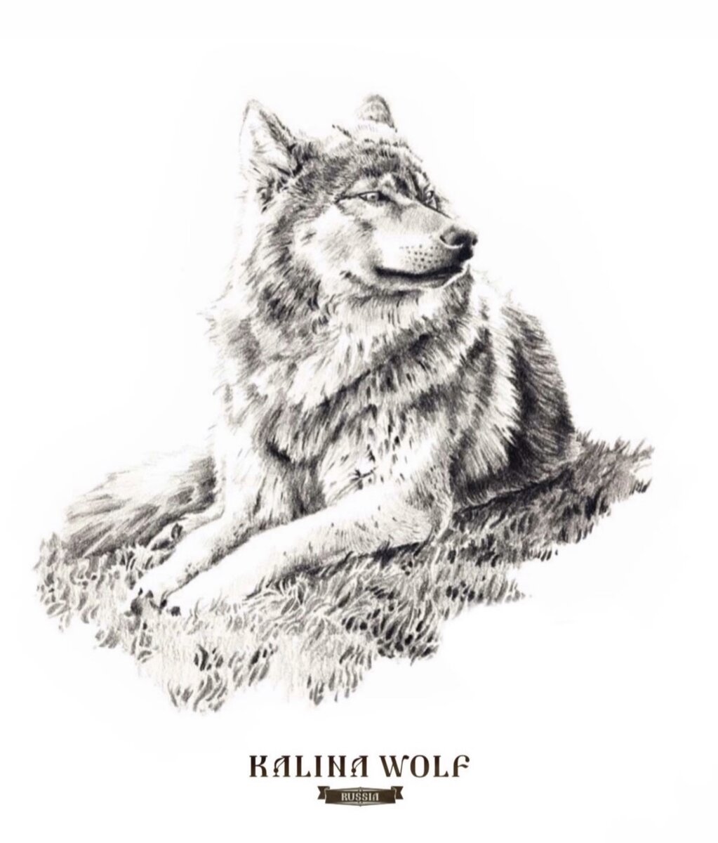 Красиво. Качественно. Концептуально. KALINA
WOLF.