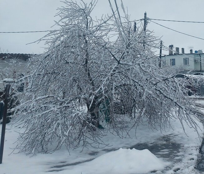 Фото автора.