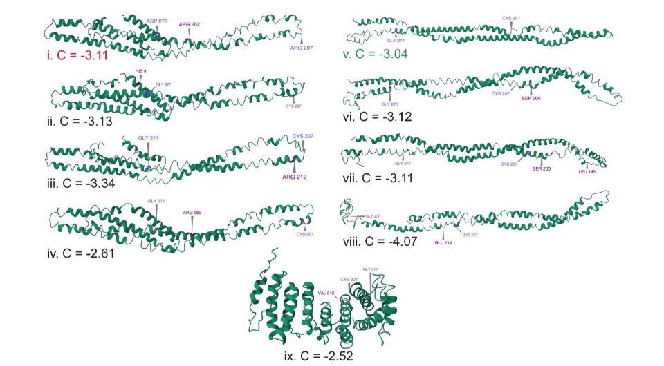   Ophelie Lebrasseur et al. / Virus Evolution, 2024