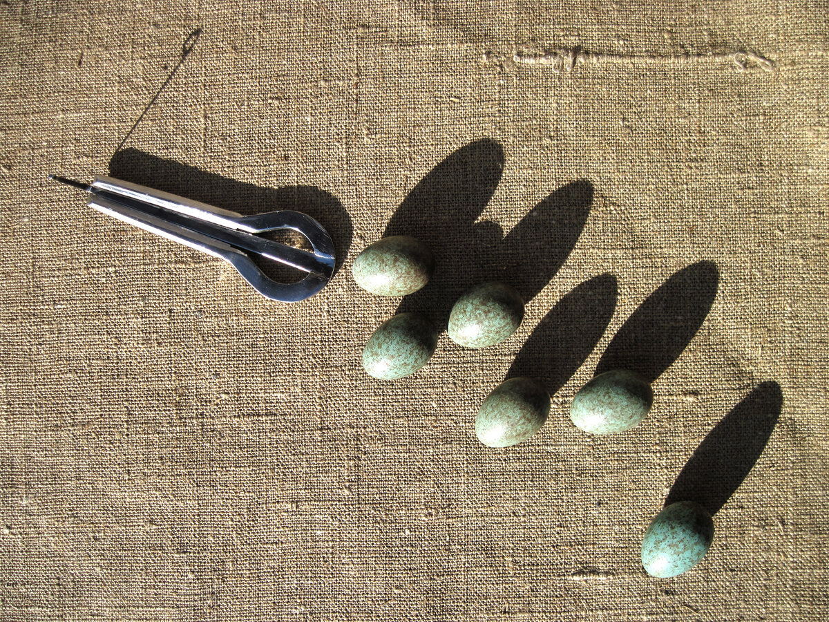 Варган даёт легкий, контролируемый транс