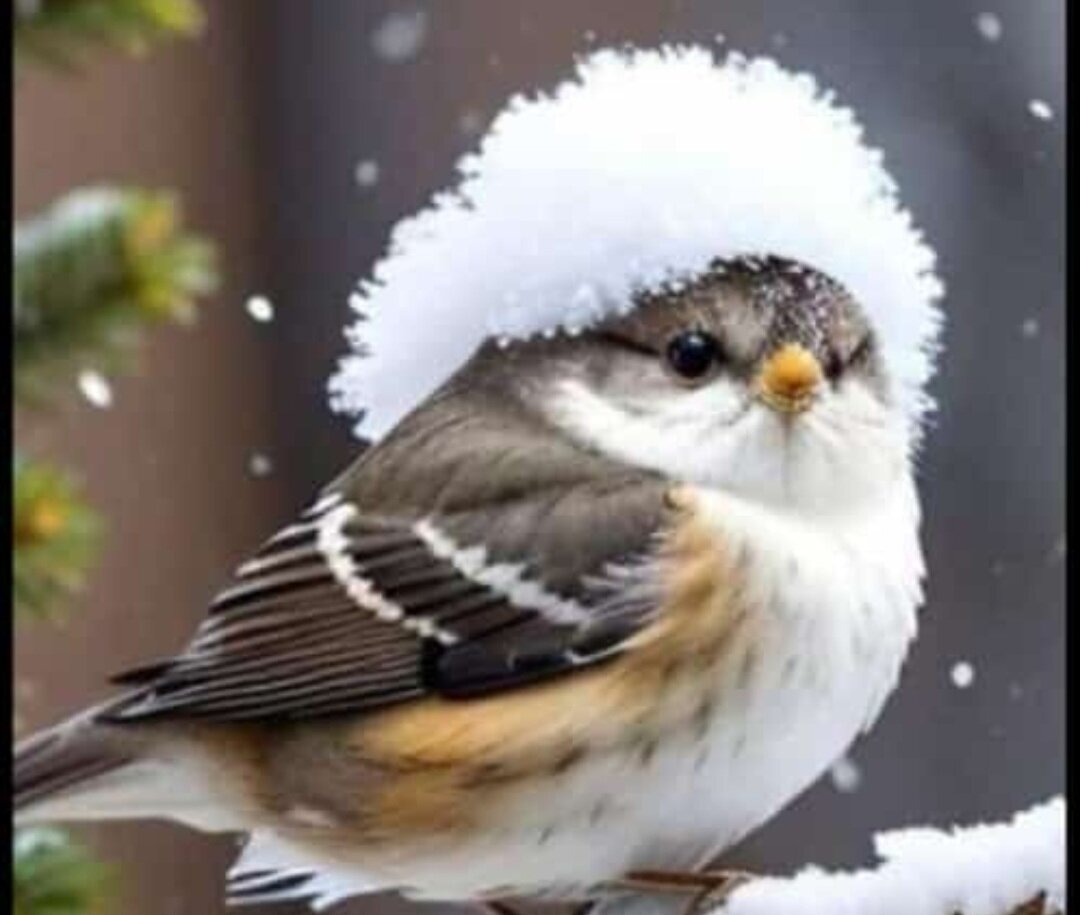 Сегодня я рано :)