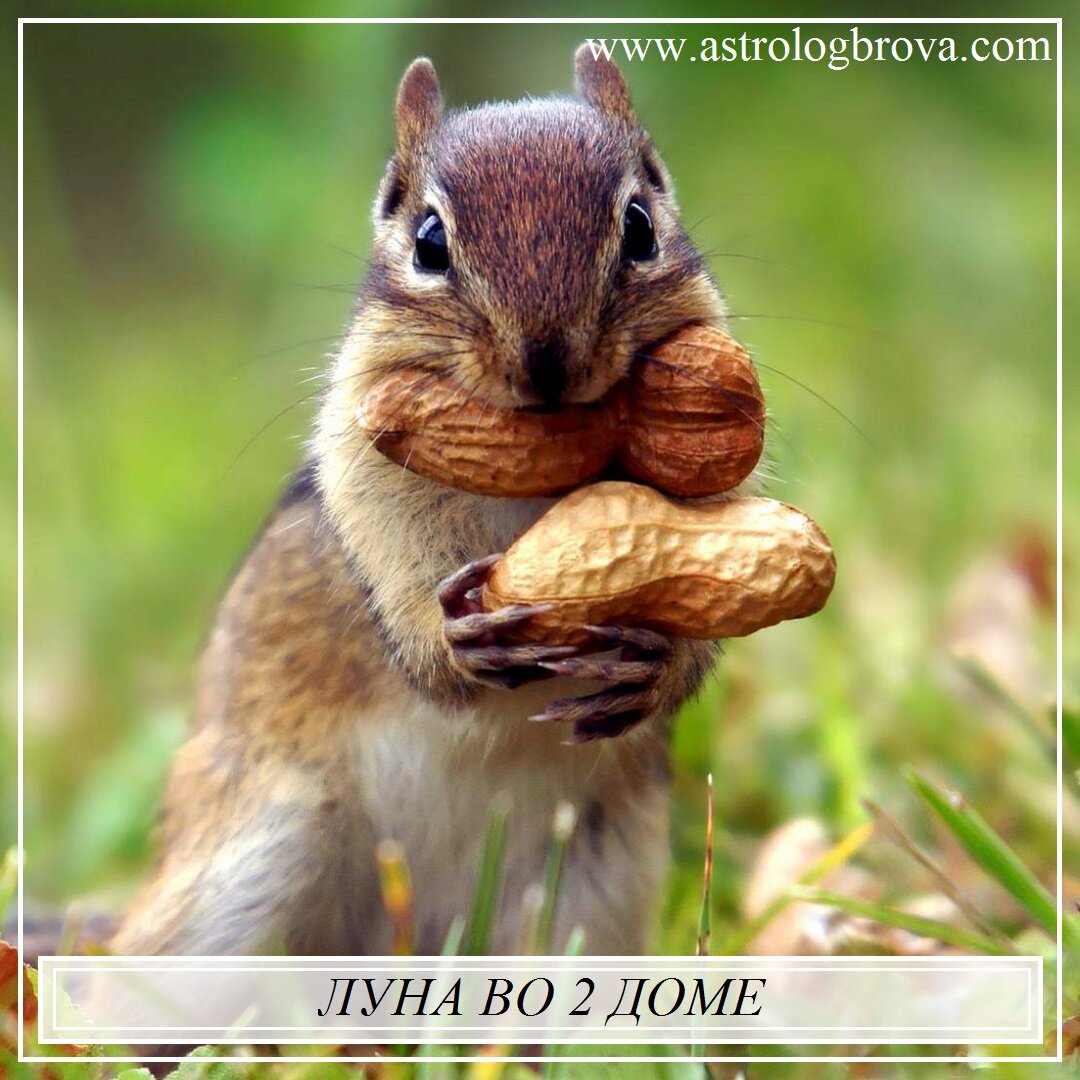 луна и марс. луна второй дом. двойная луна. 2002. луна сердце.