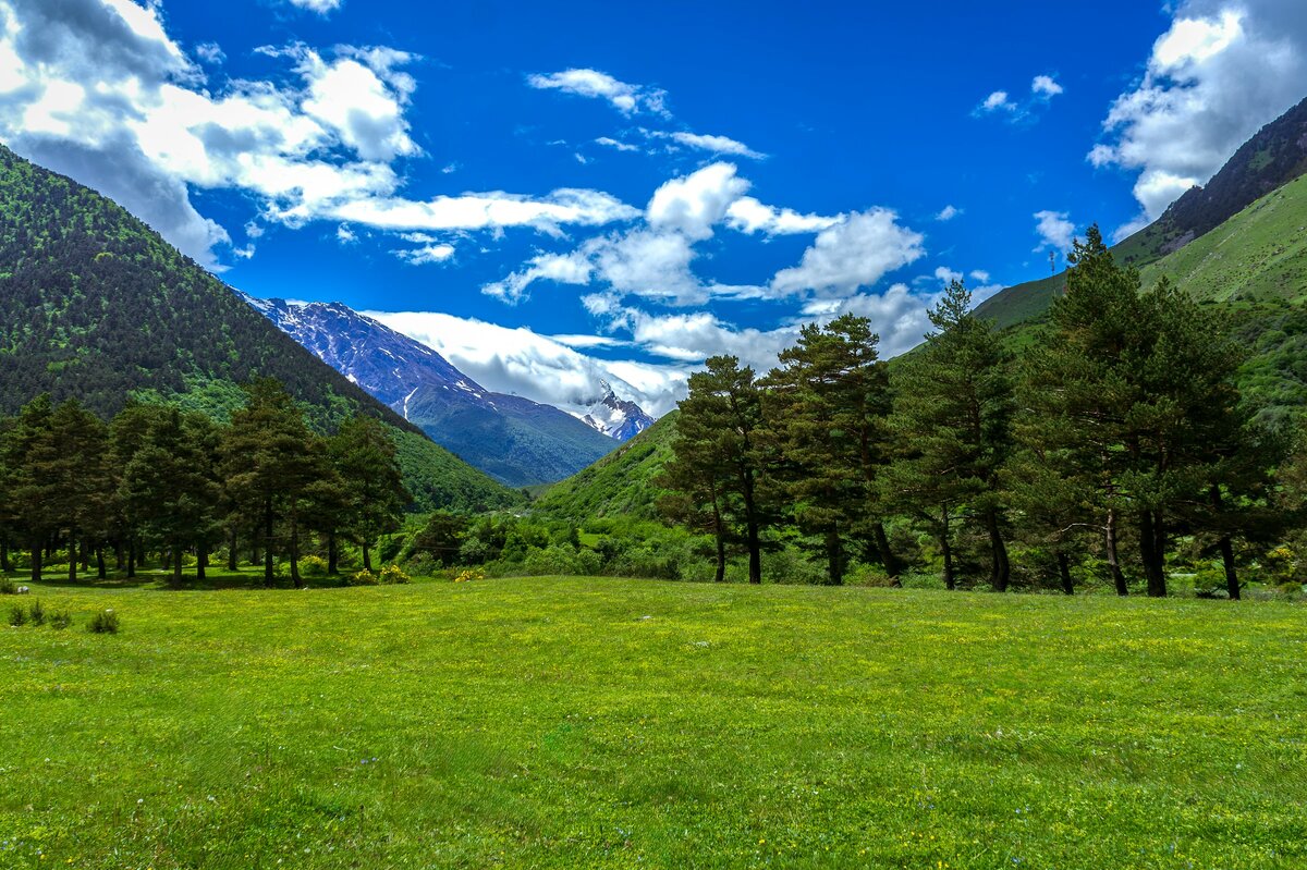 Фото с бесплатного фотостока https://unsplash.com, автор Anton Volnuhin