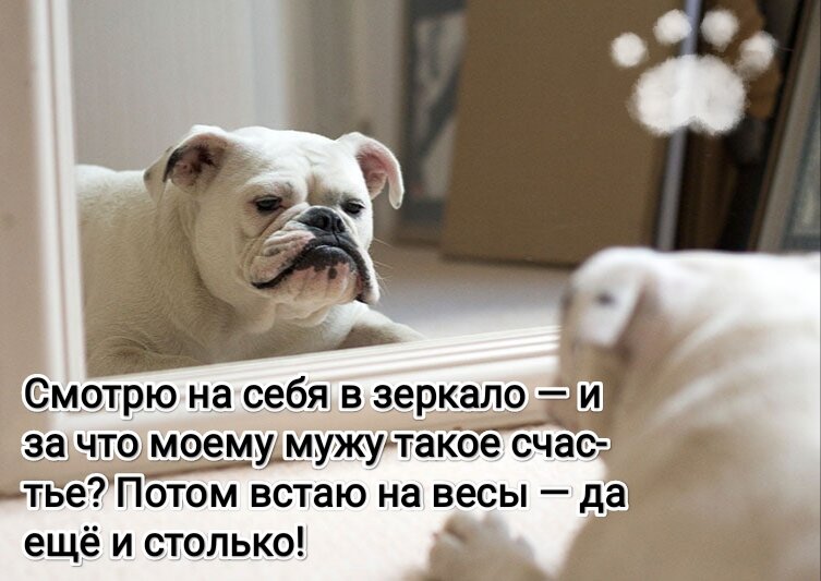 Фото из интернета в обработке автора. 