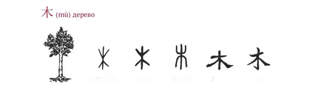 ключ дерево от древности до современности