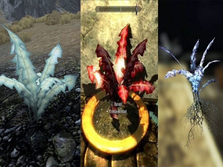 Корень Нирна: когда ты не уверен, в какой вселенной сейчас находишься.