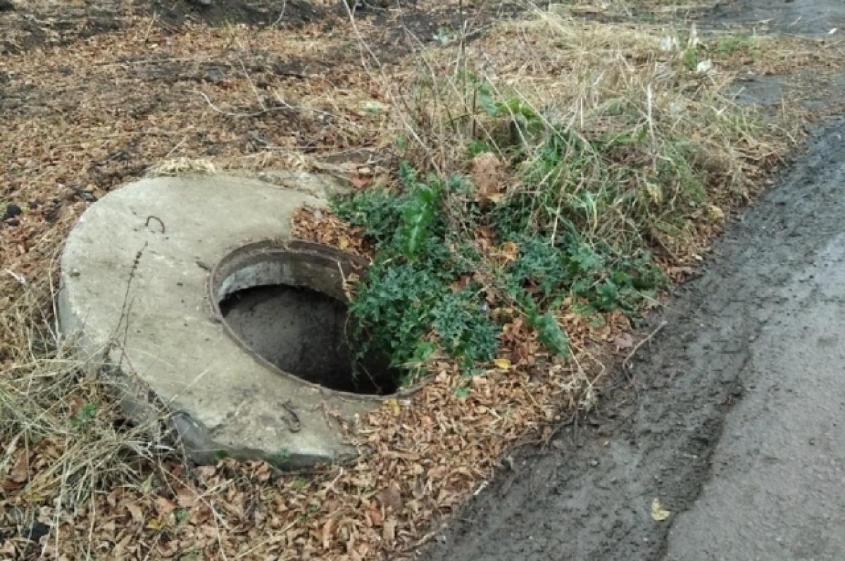    Фото носит иллюстративный характер.