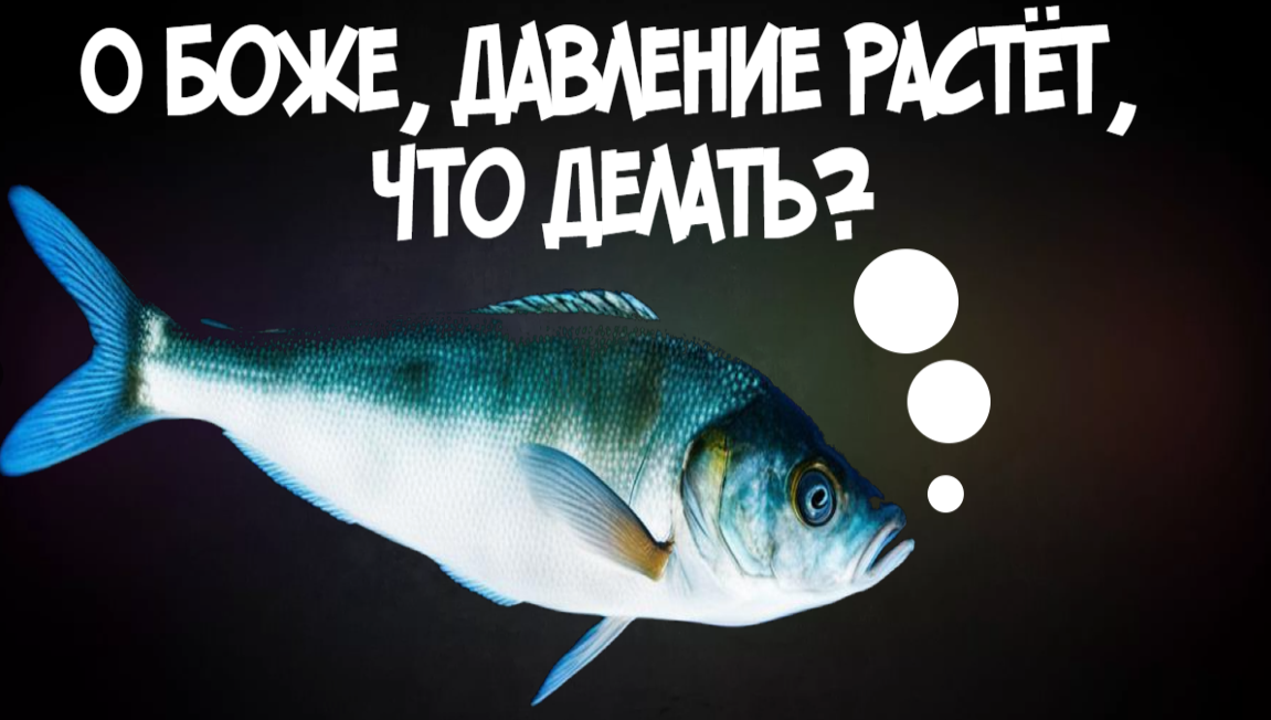 Так ли страшно изменение давления для клёва рыбы?