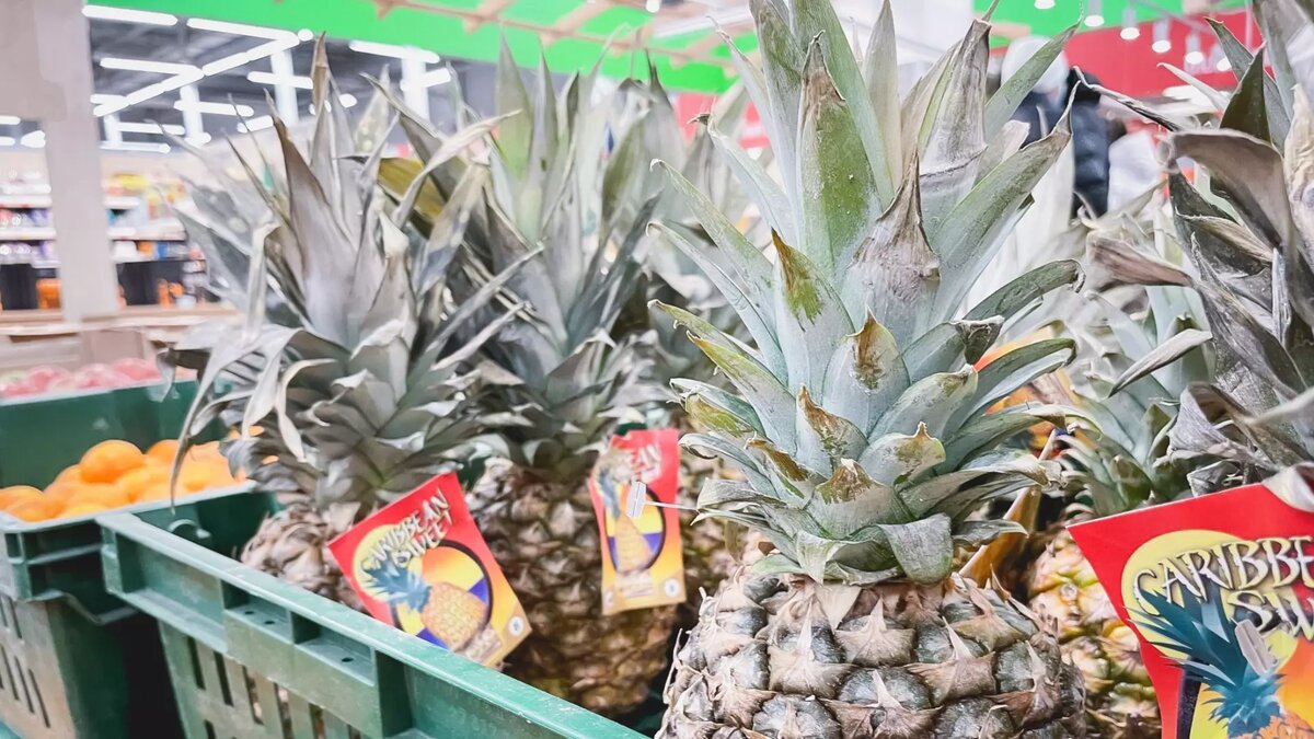     В областном управлении Роспотребнадзора подробно разъяснили, стоит ли рассчитывать на ананас как на продукт, способствующий снижению веса. Оказывается, некоторые волгоградцы полагают, что с помощью ананасов можно похудеть.