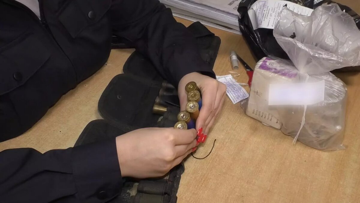     Транспортная полиция Абакана задержала охотника-нелегала, который приезжал на промысел в район перегона станций Бискамжа-Шора. У мужчины было незарегистрированное ружье и самодельные патроны.