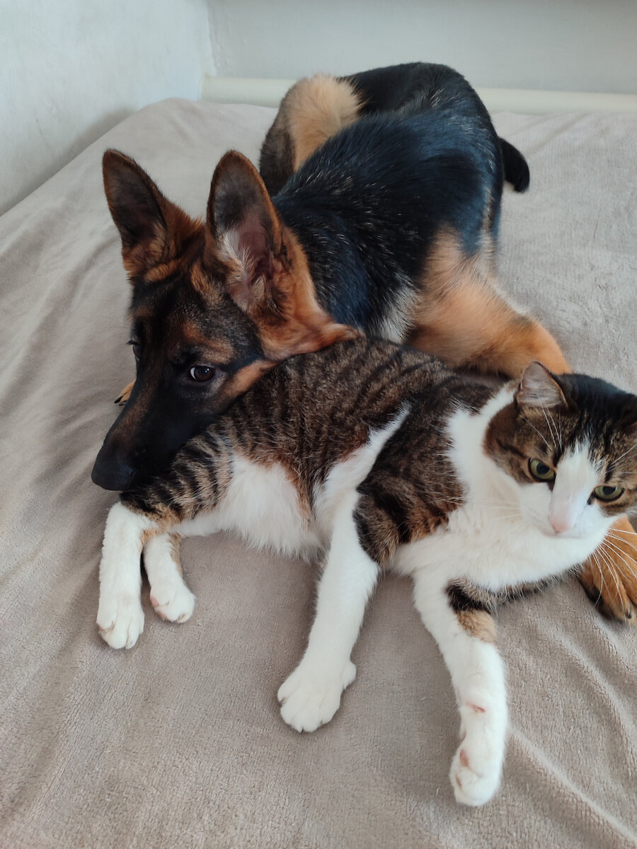 Рабочая суббота картинки смешные. Я твой старший брат ты не беспокойся. Ничему не рад. Работаю в субботу приколы картинки. Знаешь как тебе я рад ничего не бойся.