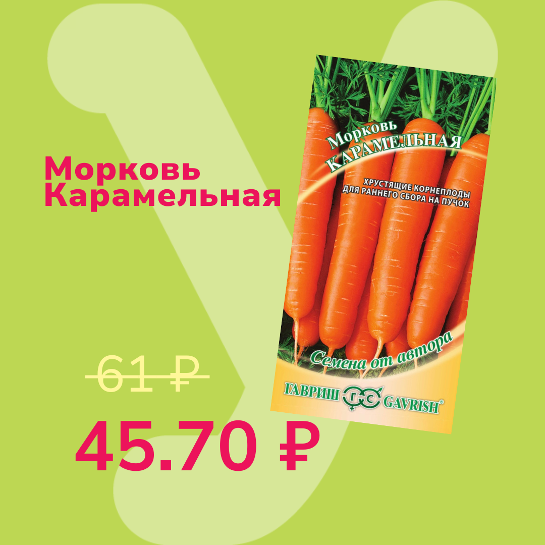 Текст песни честный. Дам тебе морковку и ты станешь. Я тебя пожалею. Дам тебе морковку и ты станешь. Прежде чем назвать женщину зайкой подумай хватит ли у тебя капусты.