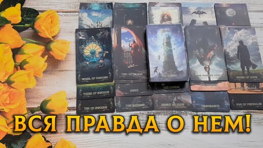 Таро с ниной дзен расклады последние расклады
