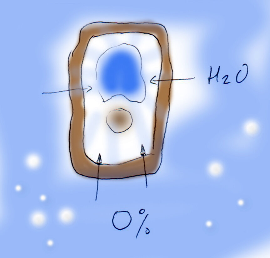 В пресной воде вода поступает в растительную клетку - а ей ничего! её с