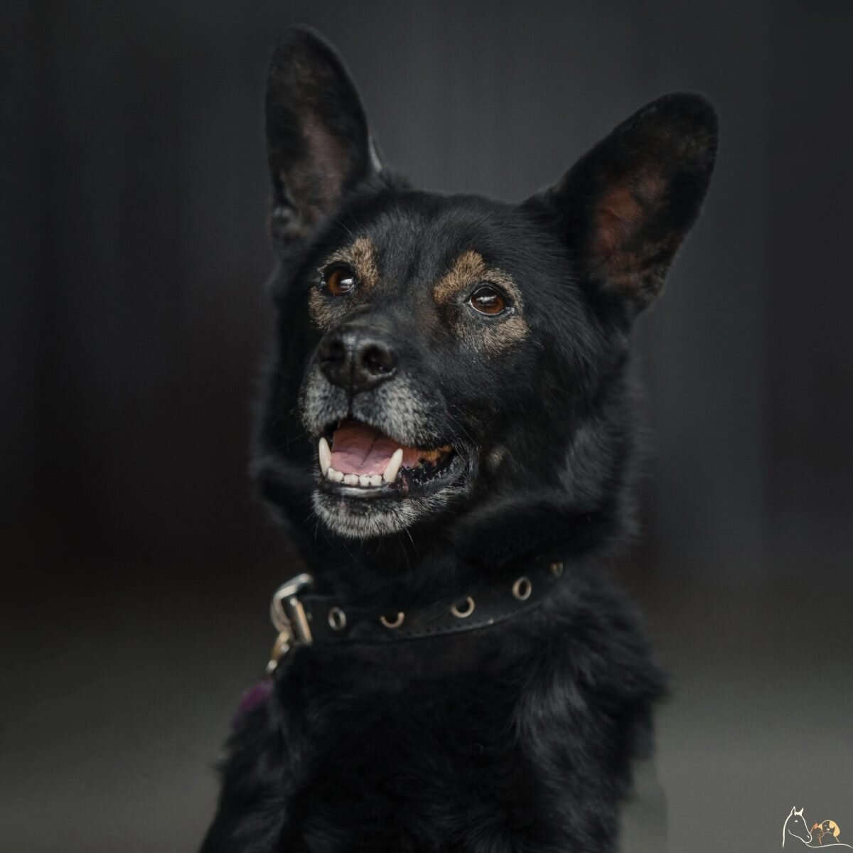    Сострадание НН ВКонтакте