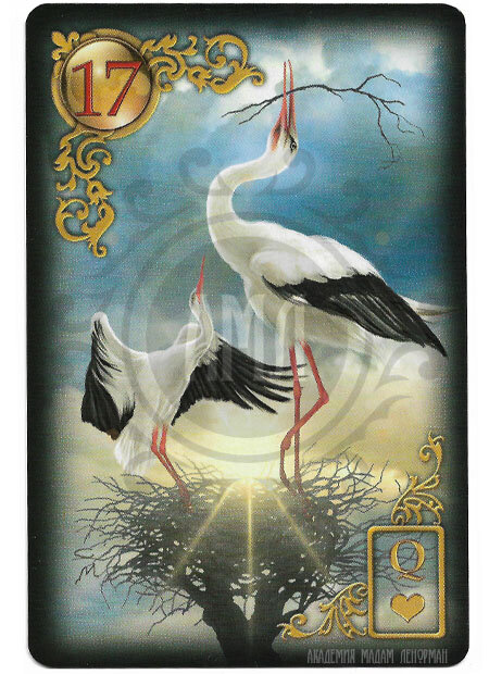 СПАСИБО, АИСТ - СПАСИБО, ПТИЦА!