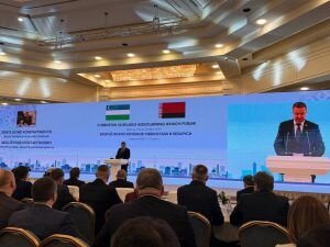    Фото: пресс-служба “Беллесбумпром”