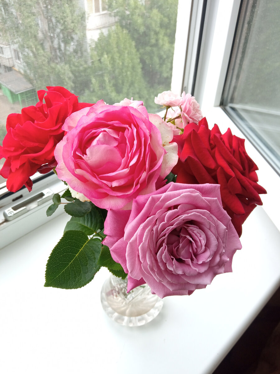 Сиреневый Клод Брассёр в букете.