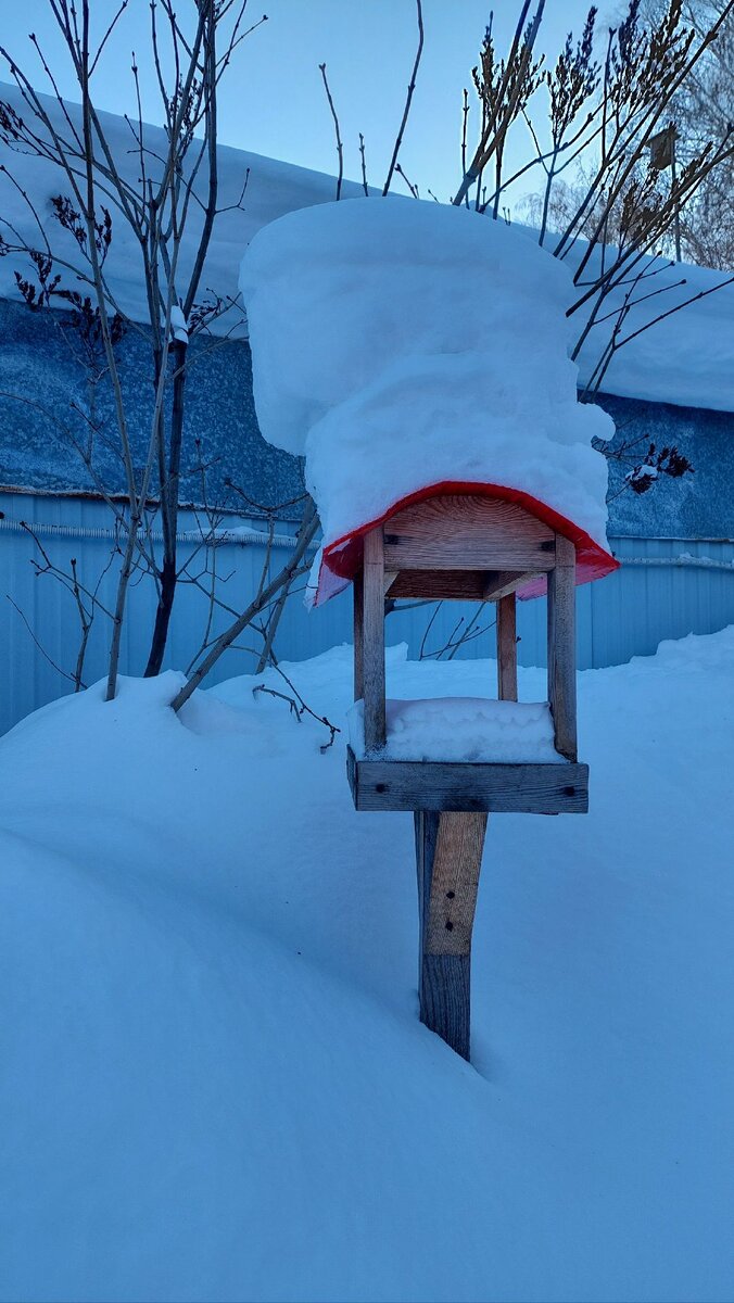 Кормушка и шапка набекрень.