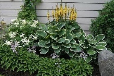 Несложная композиция, а  как красиво смотрится. 