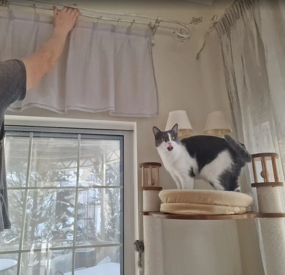 Теплый плед и камин. Вечер у камина. Уютные объятия. Уютные иллюстрации. Хочется быть дома.