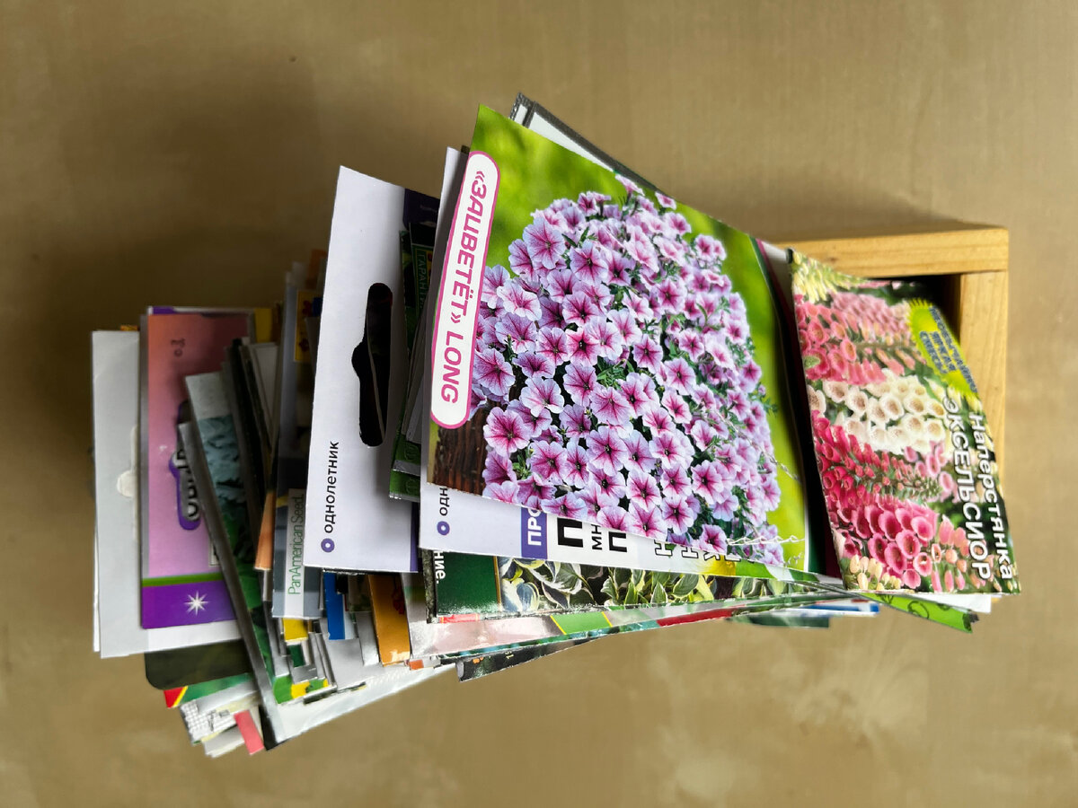 Семена ждут посева