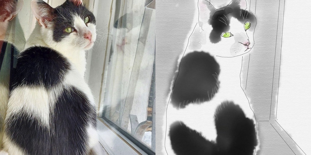 В Москве кот с сердечком на спинке вдохновляет художников