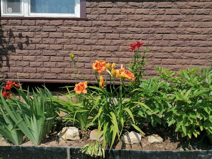 солнечный круг пермь детский сад. центр солнечный круг. солнечный круг томск. солнечный круг. детский сад солнечный круг.