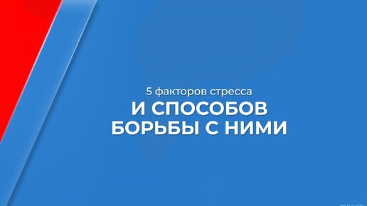 Бесплатные дистанционные курсы с сертификатом первая помощь