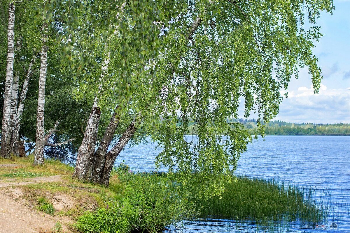 Как ученик одной репликой опрокинул все патриотически-ностальгические  размышления хорошего писателя Валентина Распутина | Записки КОМИвояжёра |  Дзен