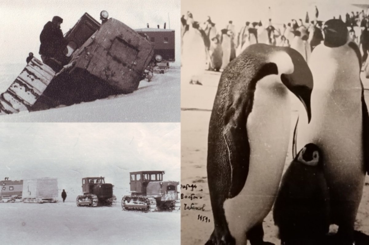    Вперёд, в Антарктиду.