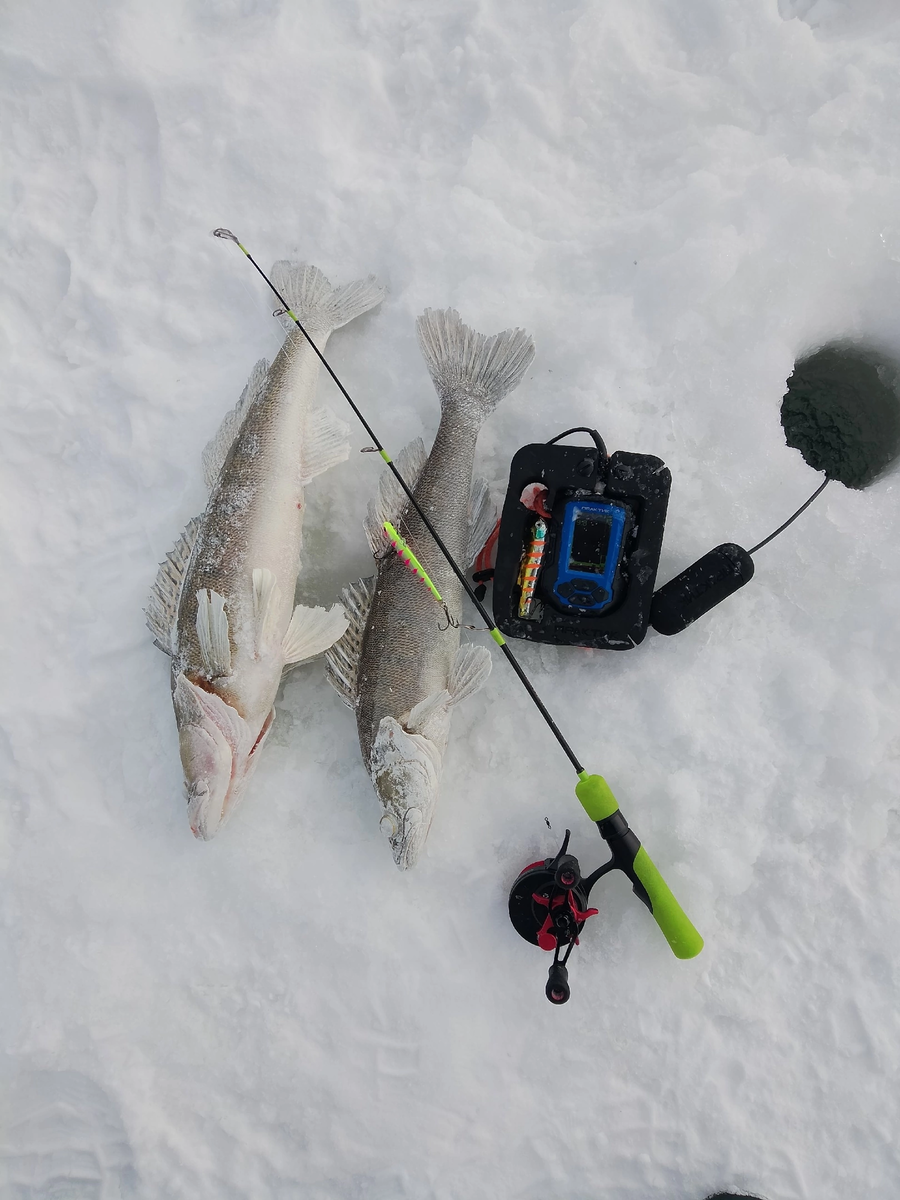 Всем хорошего дня приятного время препровождения)