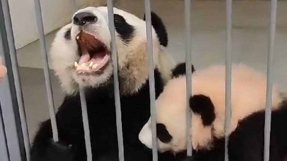    Фото: Telegram / Светлана Акулова