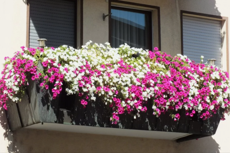 дом дача цветы. гарден хаус с террасой. терраса с цветами. лесной лилейник в саду. скандинавский сад front yard.