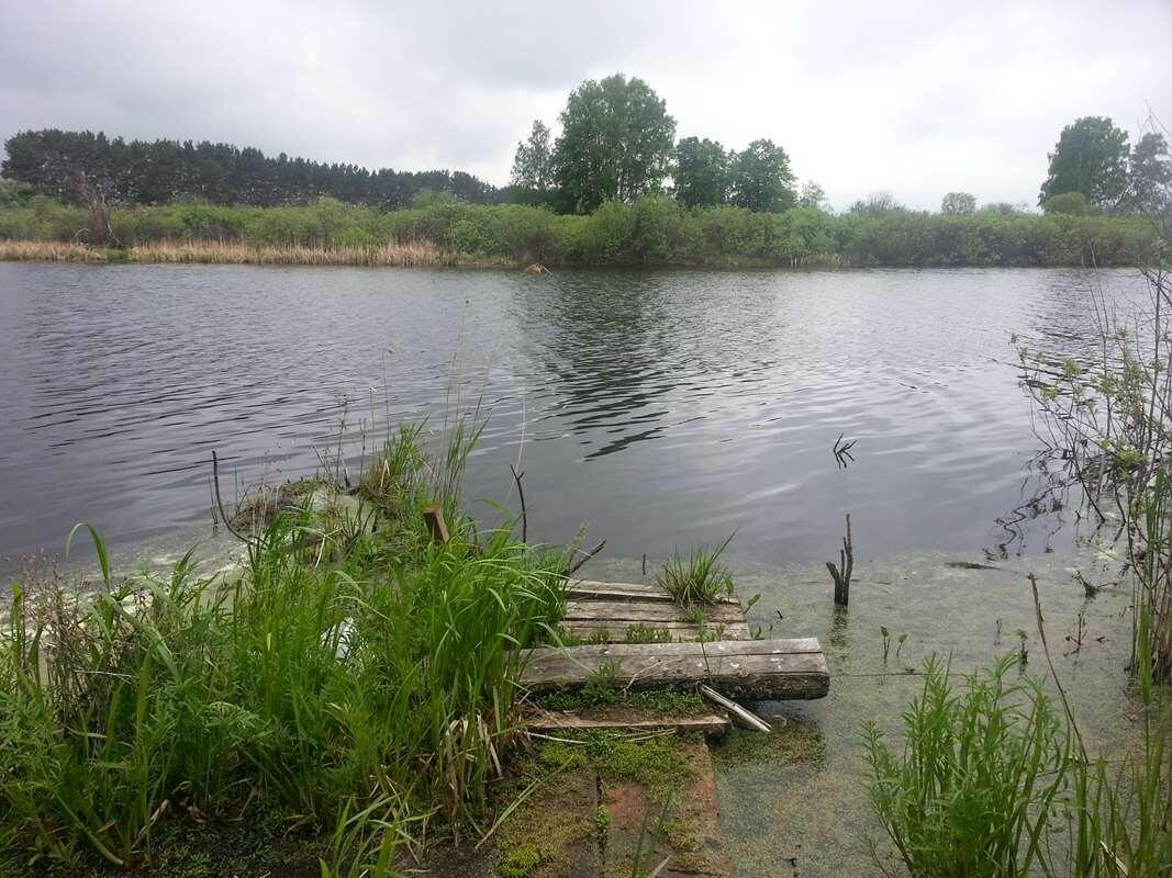 Презентация про город чистополь. Крупные города на реке амур. Река волга на карте россии исток и устье. Исток и устье реки волга. Какие крупные города расположены по берегам рек.
