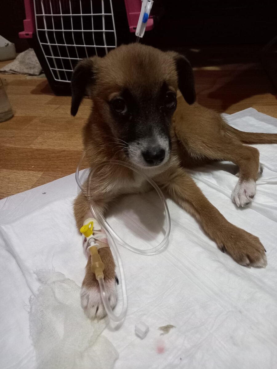 Эти глазенки… 😫😫😫