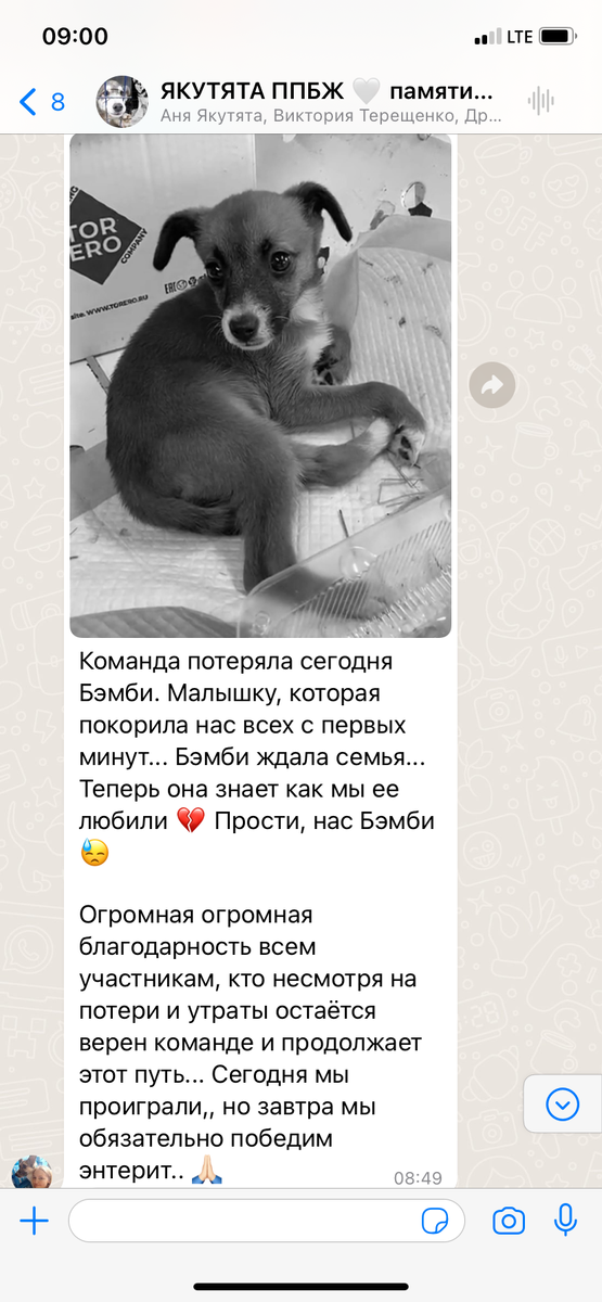 Слова поддержки нашей Анечки-куратора… ❤️